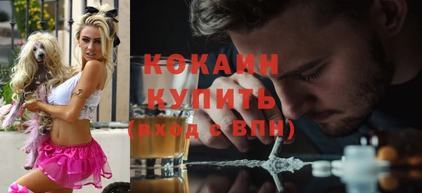 гашик Богородицк