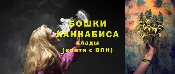 гашик Богородицк