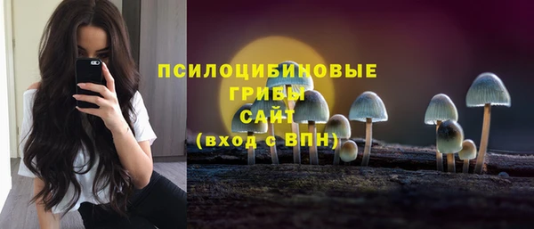 гашик Богородицк