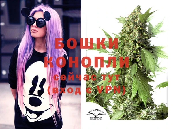 mix Бородино