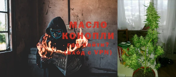 мдпв Богданович