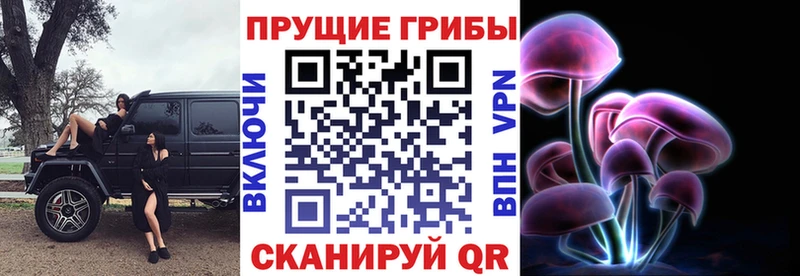 mega ONION  наркотики  Данков  Галлюциногенные грибы Cubensis 